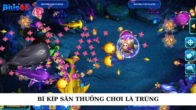 Bí kíp săn thưởng chơi là trúng