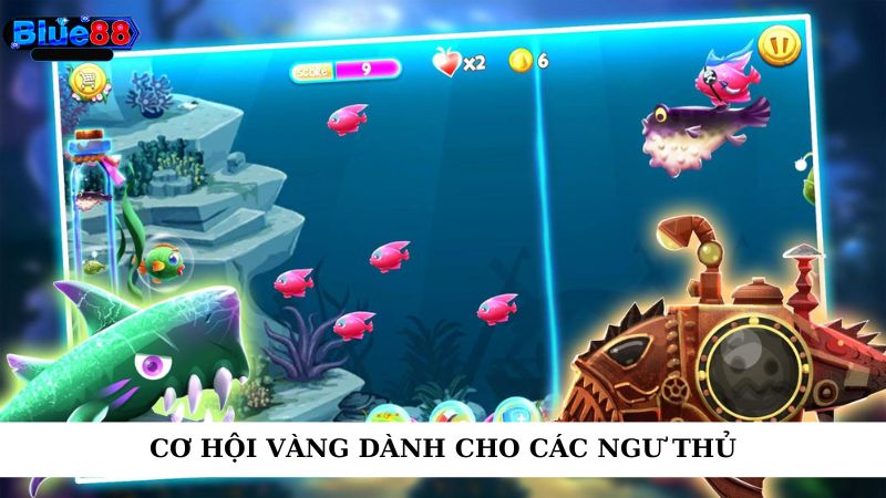 Cơ hội vàng dành cho các ngư thủ