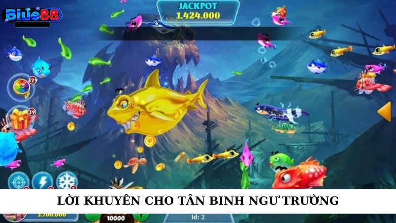 Lời khuyên cho tân binh ngư trường