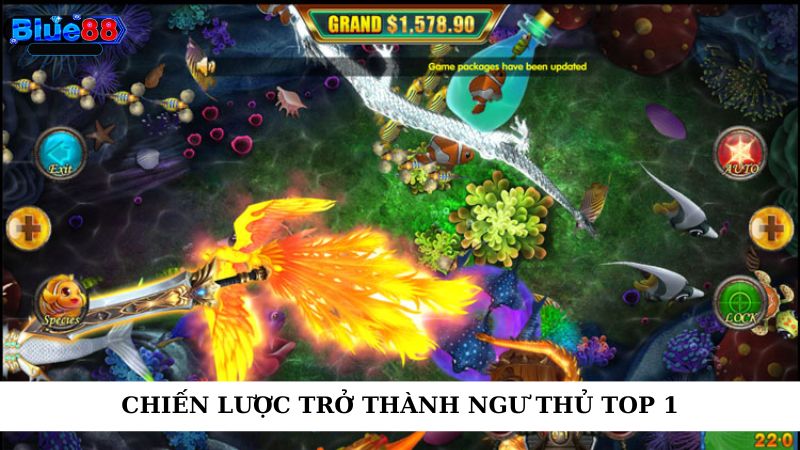 Chiến lược trở thành ngư thủ top 1