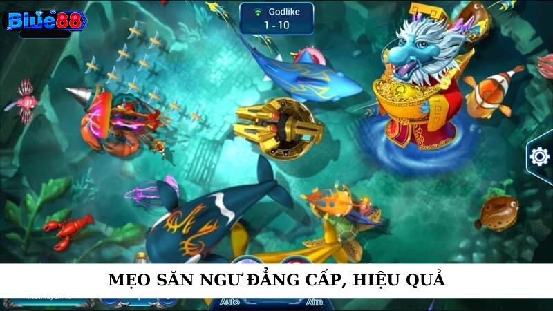 Mẹo săn ngư đẳng cấp, hiệu quả