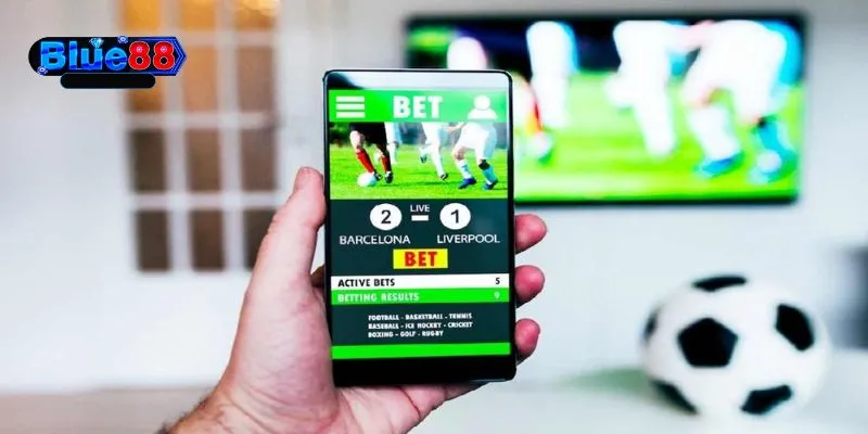 Các loại hình cá cược bóng đá được nhiều người yêu thích