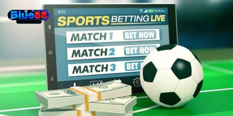 Chiến lược cá cược bóng đá hiệu quả tối ưu hóa lợi nhuận