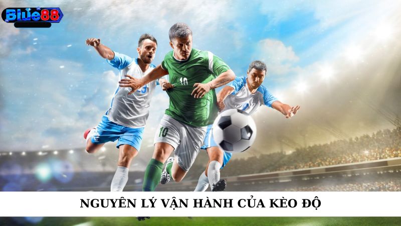 Nguyên lý vận hành của kèo độ 