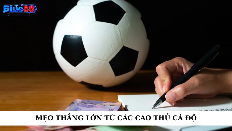 Mẹo thắng lớn từ các cao thủ cá độ