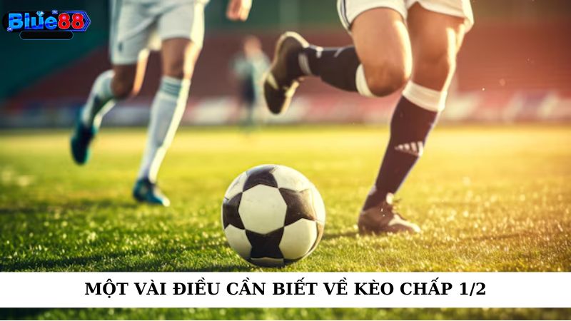 Một vài điều cần biết về kèo chấp 1/2