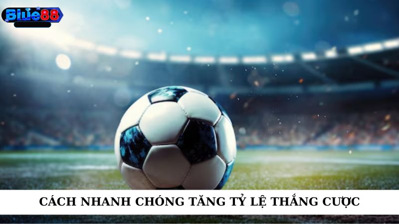 Cách nhanh chóng tăng tỷ lệ thắng cược